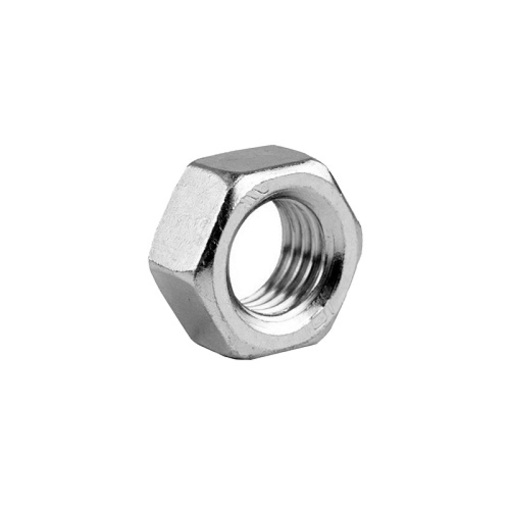 ����� ������������ �10 (5��/��)